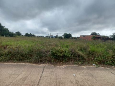 fotografía del lote a rematarse