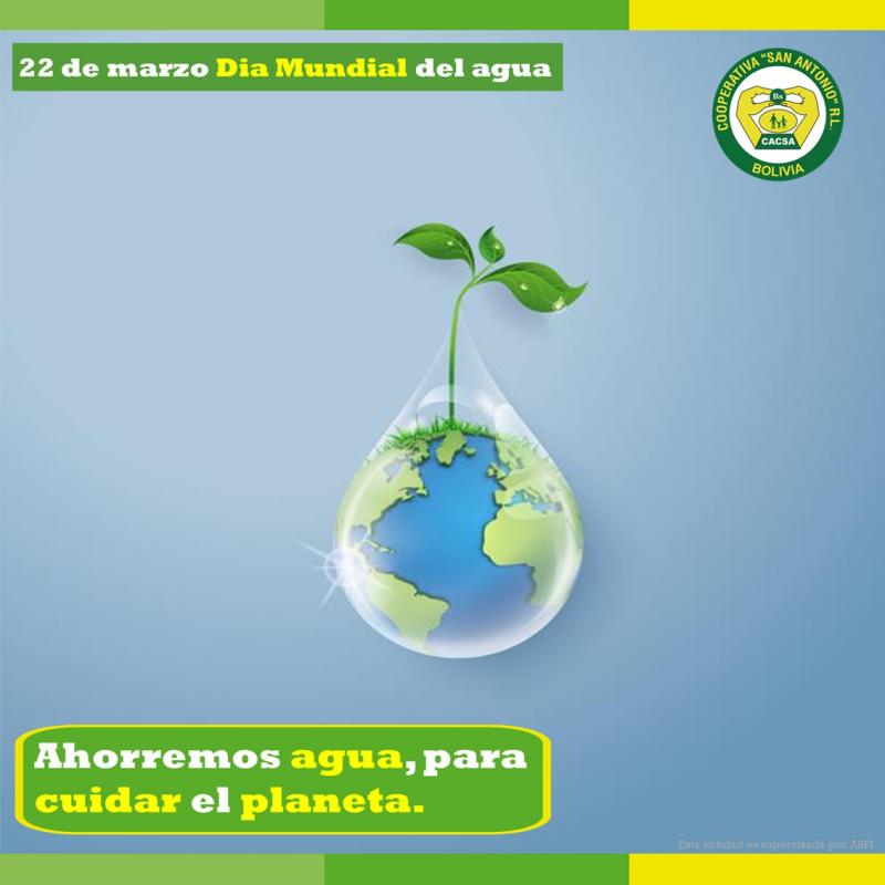 Dia mundial del agua 