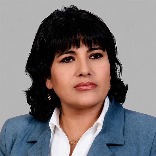Lic. ANA MARIA ARNEZ ZAPATA