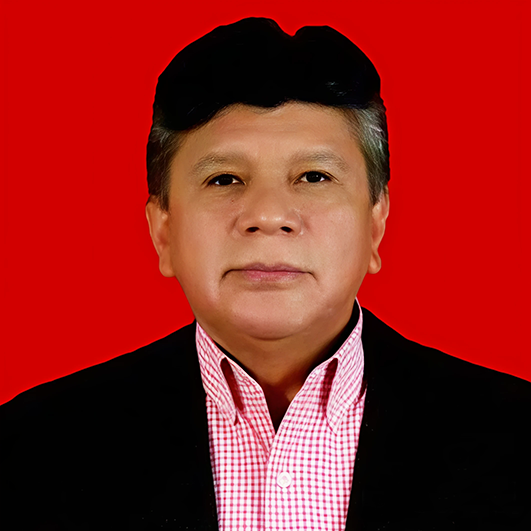 Lic. ARMANDO NOÉ FLORES VERA